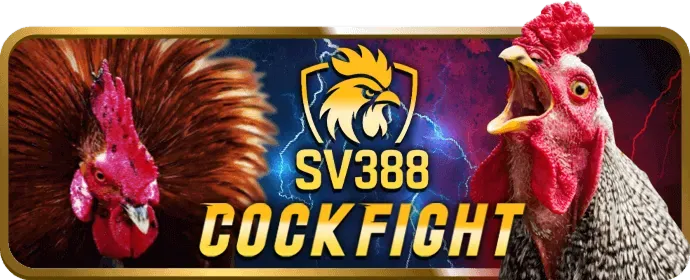 Giới thiệu về nền tảng i9bet141 link vào